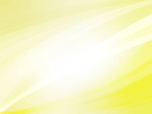 Barcelona’s Best Guided Tours and top places to visit